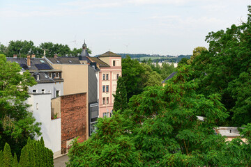 Fototapeta na wymiar View of city with buildings and trees