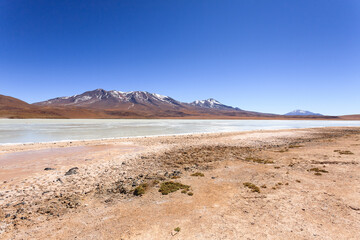 Laguna Hedionda view, Bolivia