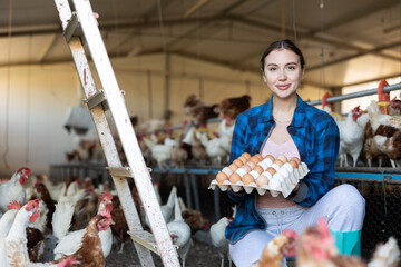 Young European woman farmer worker holding cardboard box full of fresh chicken eggs on poultry farm