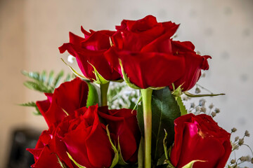 bouquet of red roses