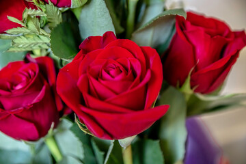 bouquet of red roses