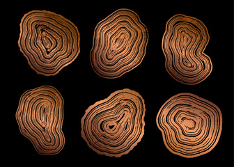 Set of wooden annual rings textures. Luxury golden tree ring patterns. Collection of tree trunk stamps in section isolated on black background. Natural wooden concentric circles © Morena