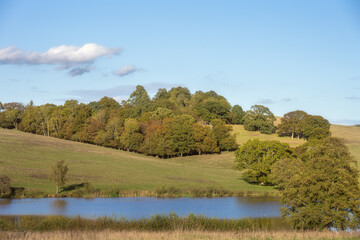 Walking in Wealden, East Sussex, England, on a beutiful autumn day