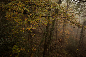 Paysage Aveyron Occitanie