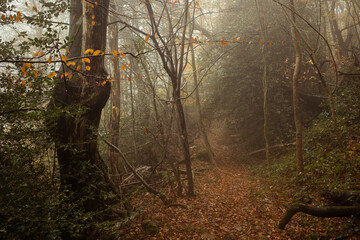 Paysage Aveyron Occitanie