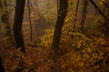 Paysage Aveyron Occitanie
