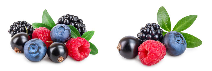 mix of blackberry blueberry raspberry black currant with leaf isolated on white background.