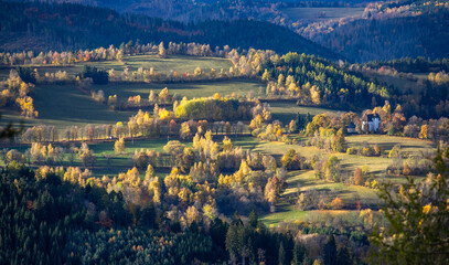 mountain meadows with colorful trees on a sunny morning