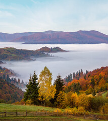 Cloudy and foggy autumn mountain early morning pre sunrise scene. Ukraine, Carpathian Mountains, Transcarpathia.