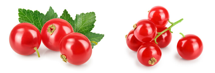 Red currant berry isolated on white background