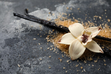 Aromatic vanilla sugar, flower and sticks on black background