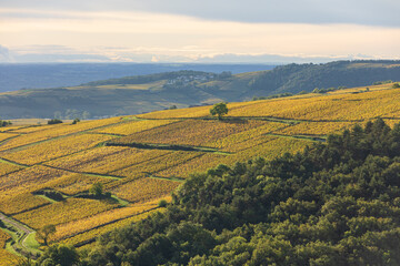 Paysage Aveyron Occitanie