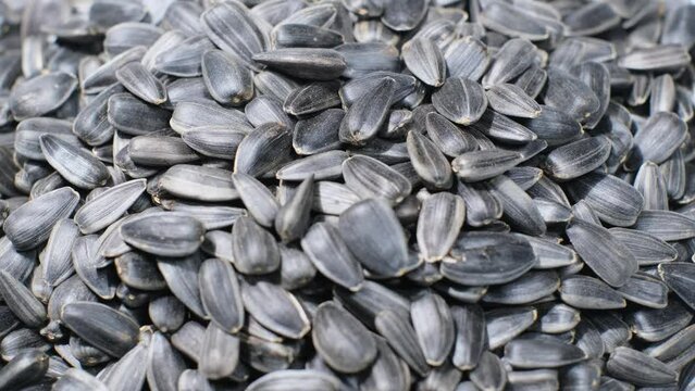 Close-up of black sunflower seeds spinning in a circle. Sunflower seed product