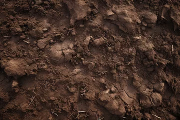 Deurstickers texture of the ground © Daniel