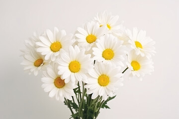 Obraz premium bouquet of daisies