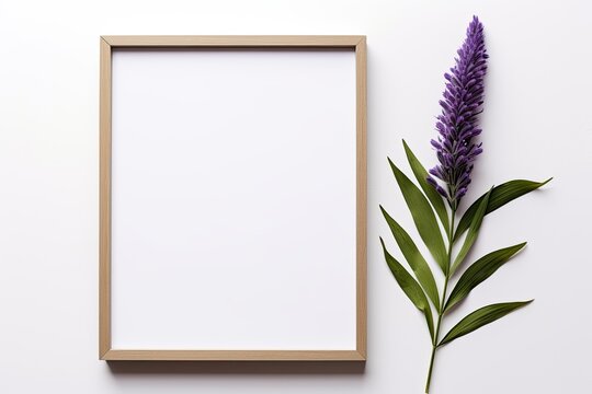 Empty wooden wall frame with single lavender