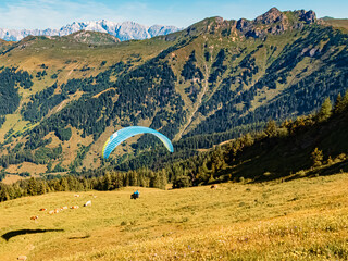 Alpine summer view with a paraglider at Mount Fulseck, Dorfgastein, St. Johann im Pongau, Salzburg,...