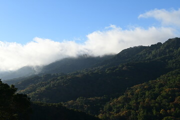 clouds over the mountains