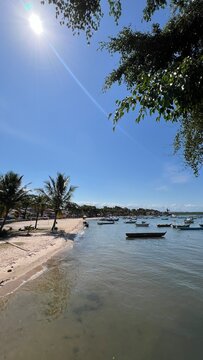 praia itacar&eacute; paraiso paisagem vertical