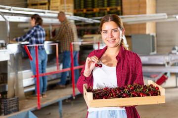 Positive girl farmer working in a fruit nursery stands in warehouse holding a crate of cherries