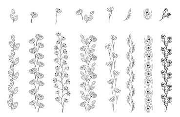 Hand-drawn floral elements for design. No background.