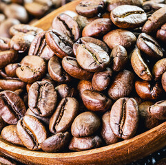coffee seeds from brazil close up of arabica coffee