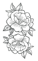 Magnolia  flowers drawing with line-art on white backgrounds. Realistic floral bloom sketch. Simple Design Outline Style. You can give color you like. Vector Illustrations