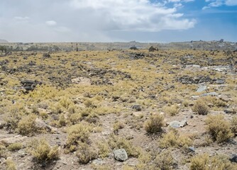 desert landscape with far away montains