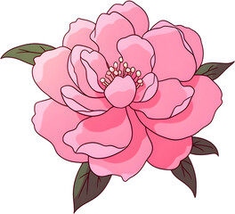 Pink Aesthetic Rose Flower Design