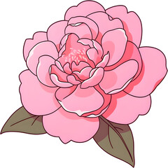 Pink Aesthetic Rose Flower Illustration