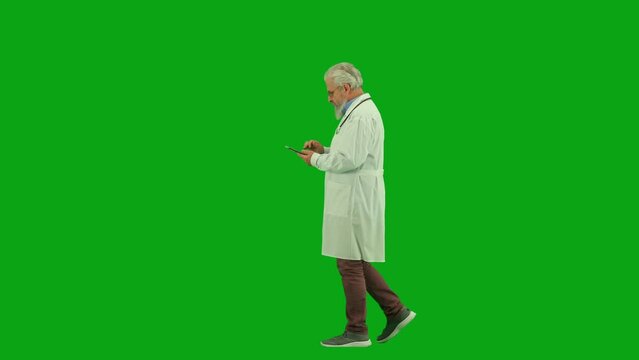 Portrait of aged man medic on chroma key green screen. Side view senior doctor walking through clinic or hospital texting on tablet.