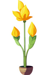 투명한 배경 위에 노란꽃이 핀 화분