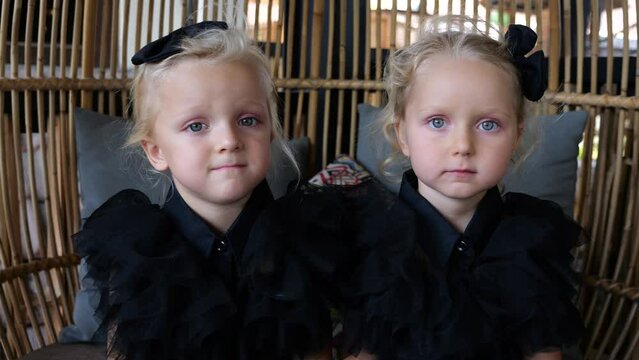 Two cute twin girls sitting in cafe in Wednesday suit with black bows on heads. Close-up of preschool kids came to cafe for Halloween party in Wednesday suits. Concept have fun and wear Wednesday suit