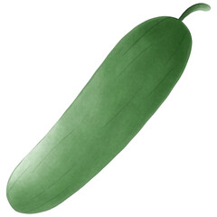 Cucumber