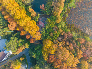 Late autumn scenery of Wuhan East Lake Scenic Area
