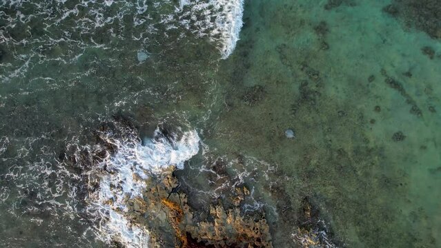 Aerial view of stingrays swimming under waves in Mexico