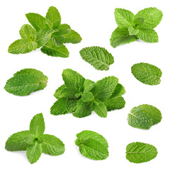 Fresh mint leaves isolated on white, set