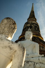 Fototapeta premium The white sitting buddha and standing buddha in Wat Yai Chai Mongkhon in sunrise