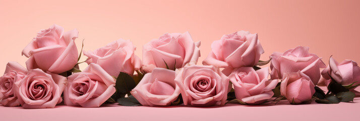 Pink Roses Laid Out on a Pink Background
