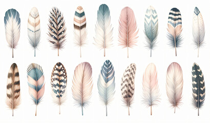 Watercolor a cute bird feathers on white background. - obrazy, fototapety, plakaty