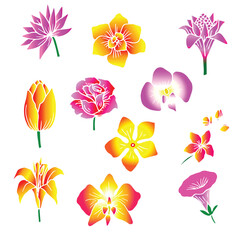 Set of flowers illustration element vector 