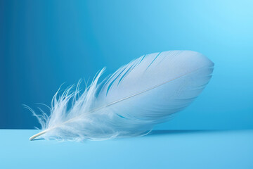 Fluffy blue abstract softness light nature background soft white plumage bird feather