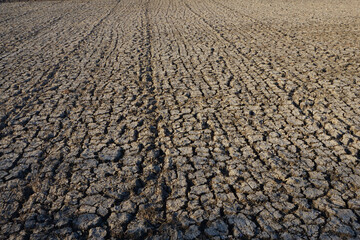 dry soil texture in the dry season