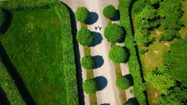 Beautiful couple of newlyweds walking in palace garden. Creative. Top view of newlyweds walking along alley in park. Palace Park with geometric paths and walking newlyweds