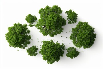 Big green trees shape top view cut out white backgrounds 3d rendering, Generative AI 