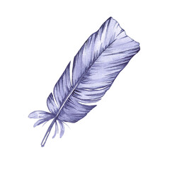 Watercolor bird feather isolated on white