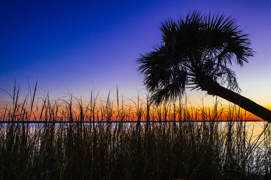 Apalachicola Bay coast off US Highway 98 near Nine Mile, Apalachicola, Florida