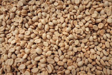 Dried coffee beans,Coffee beans are dried in a greenhouse.