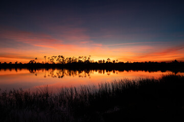 Obraz premium Beautiful vibrant sunset reflection at pond in Bonita Springs, Florida