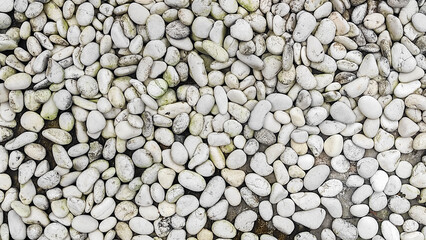 white stones as ground cover.  natural background for design. 